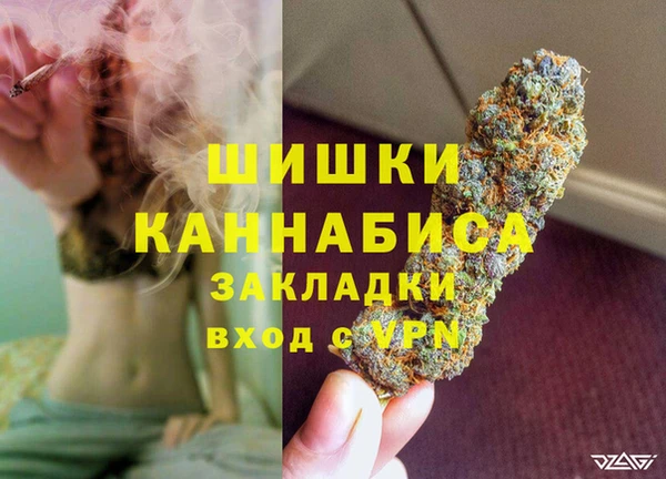 mdpv Бородино