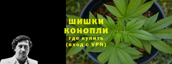 mdpv Бородино