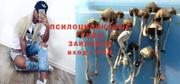 mdpv Бородино
