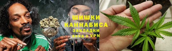 mdpv Бородино