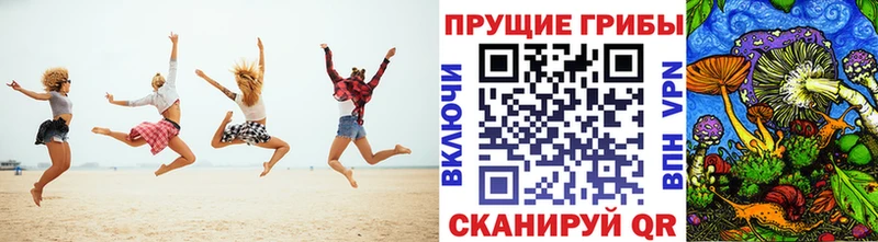 кракен зеркало  Ялта  Псилоцибиновые грибы MAGIC MUSHROOMS  сколько стоит 