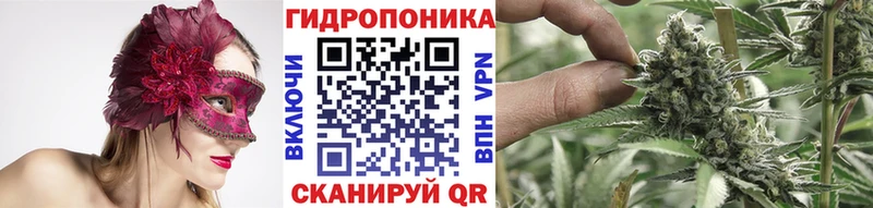 купить закладку  Ялта  kraken маркетплейс  Конопля сатива 